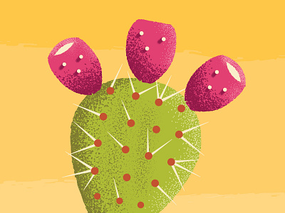 prickly pear cactus desert design illustration prickly pear shading southwest texture thorns vector wip