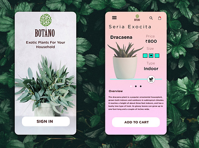 Exotic Plant App ui design app branding design logo logo design typography ui ui design uidesign uiux