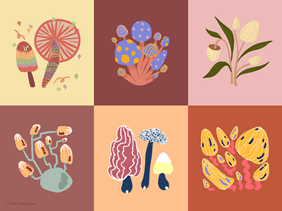 Mushroom Illustrations