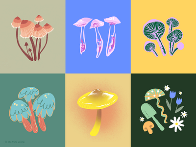 Mushroom Illustrations artwork colorful illustration illustration sketching ipad sketching mushroom sketches