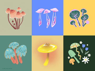 Mushroom Illustrations