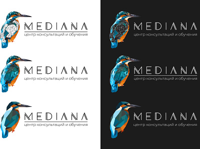 MEDIANA branding design illustration logo ui vector