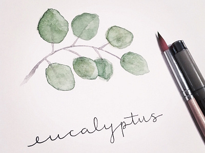 Eucalyptus watercolor eucalyptus paint watercolor