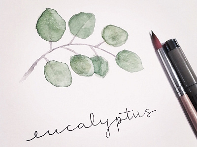 Eucalyptus watercolor