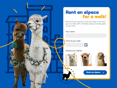 Rent an alpaca for a walk ! alpacas animals cute design renting ui webdesign