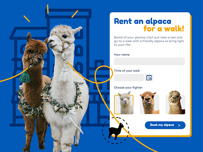 Rent an alpaca for a walk !