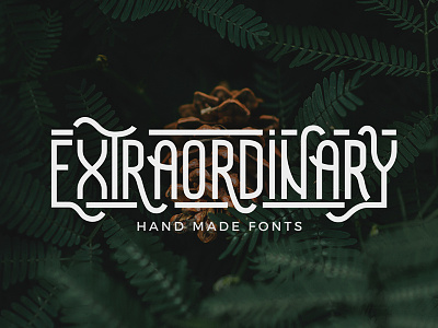 Extraordinary - Handmade Font calligraphy fonts hand header lettering summer title typography vintage
