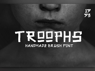 Troophs - Brush Fonts