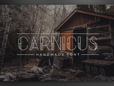 Carnicus - Font Type download fonts handmade handwritten lettering script sharpie typography writing
