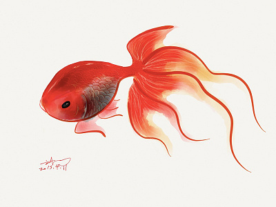 The goldfish