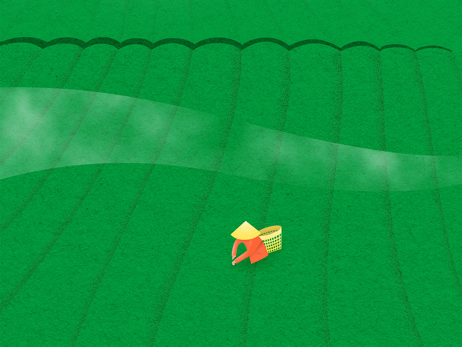 Bao Loc Tea hill Đồi trà Bảo Lộc by Tai Nguyen on Dribbble