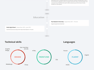 Curriculum Vitae clean clear colors cv flat minimalist new pdf portfolio skills