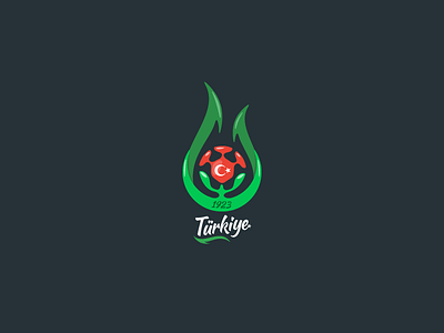 Turkish Football Federation Logo (idea v2)
