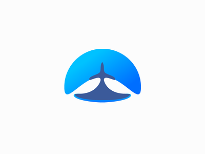 Plane Logo amblem blue logo plane uçak