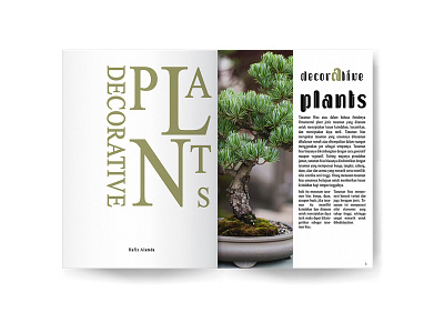 Book Layout book decorative design layout layouter magazine plant