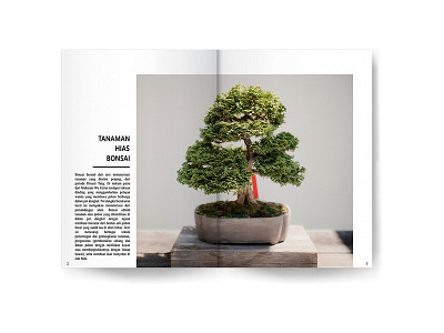 Book Layout art book decorative design layout layout design layout exploration magazine magazine design plant