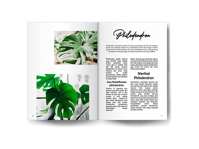 Book Layout art book book design decorative design layout layout design layout exploration magazine magazine design plant