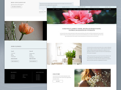 Cosmetics About Us Design about us page adobe xd clean clinic cosmetics layout minimal treatments web web design website