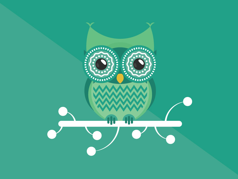 The Night Owl animal bird green big eye owl cute sitting eyes fly funny flanimals night owl