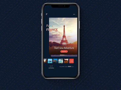 Travel App - Demo Screen android app booking ios iphone x mobile travel trip ui ux