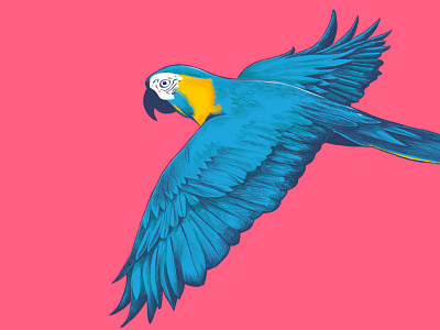 Side Eye Swagger bird drawing illustration macaw parrot pattern pink repeat