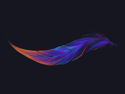 Birds of a Feather color drawing feather gradient illustration pencil procreate rainbow sketch