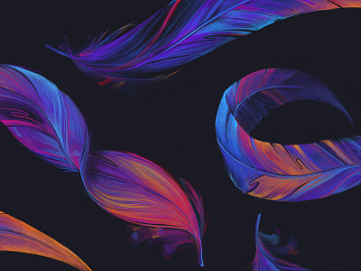 Feathers For Days blend color drawing feathers ipad pattern pencil procreate