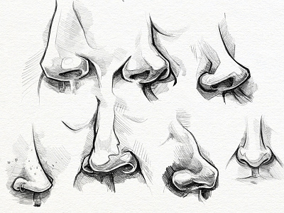 New Nose Who Dis? face nose pencil sketch sketchbook