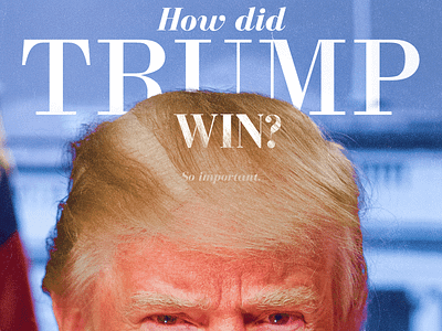How Did Trump Win?
