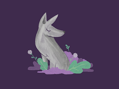 Grey Fox dandelion fox illustration nature plants