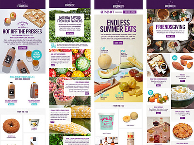 Food Kick Email email design graphic design infographic typography