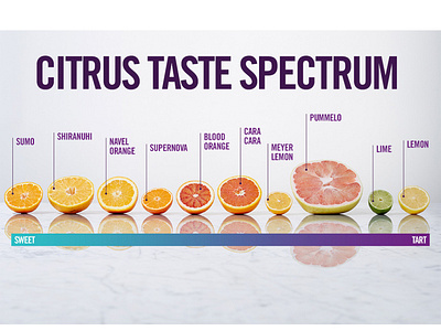 Cirtrus Inforgraphic