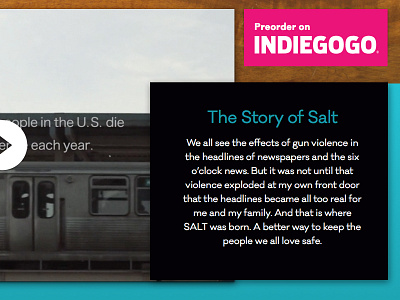 Salt Website Concept
