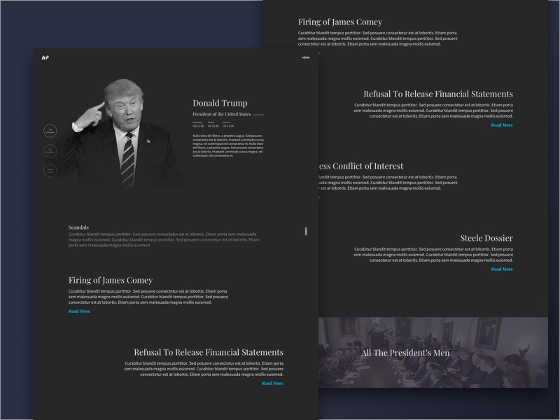 President Profile Dark stories scandals crimes donald trump arrest the president
