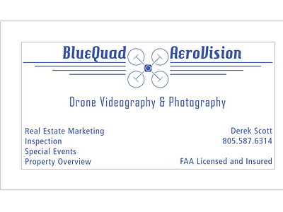 Illustrator - BlueQuad AeroVision Business Card design illustration logo