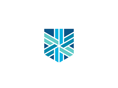 Star of Life & Shield Medical Logo blue doctor geometric hospital logo medical shield star of life