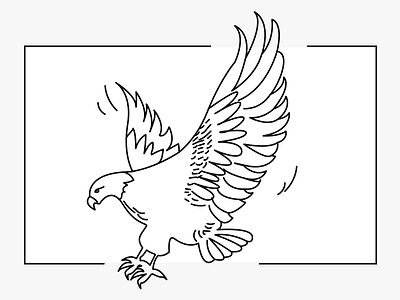 Eagle sketch bird eagle icon illustration lines power sketch vector