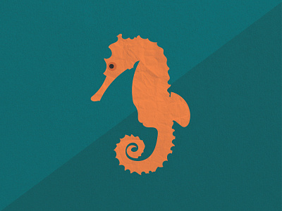Seahorse Illustration animal illustration seahorse texture