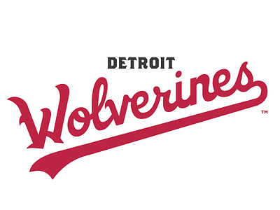 Detroit Wolverines (script WIP) 19th century baseball cursive custom hand drawn lettering logo script swoosh vintage