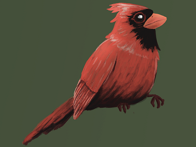 it's cardinal to try something different bird cardinal gouache painting photoshop realistic