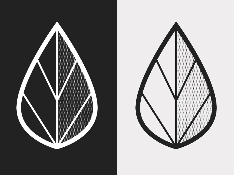 Leaf Logo by Fred Rodriguez on Dribbble