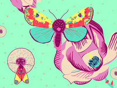 Moth digital art flowers illustration moth nature photoshop procreate product design