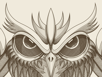 detail of owl illustration，bird owl