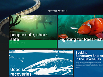 Saveourseas magazine Home Page