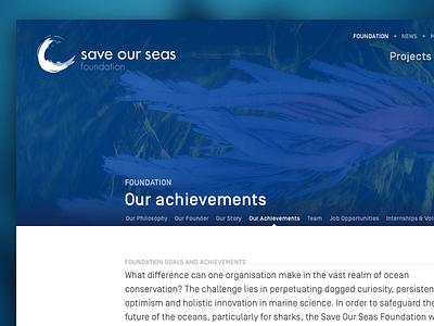 Save Our Seas – navigation concept home intermediate menu page pagination responsive web website