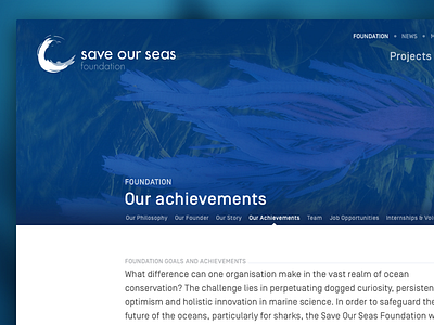 Save Our Seas – navigation concept