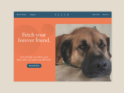 Daily UI 003 daily ui daily ui 003 daily ui challenge digital design graphic design landing page ui pet website sketchup ui ui design website design