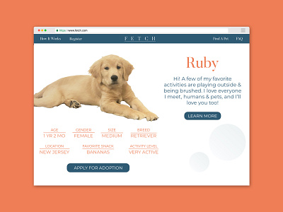 Daily UI 006 adobe photoshop daily ui daily ui 006 daily ui challenge design digital design graphic design pet website profile design sketchup ui ui design user profile website website design