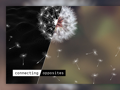 Responsive Spaces - Sujet 3d ar connect connecting opposites dandelion installation responsive spaces sujet vr