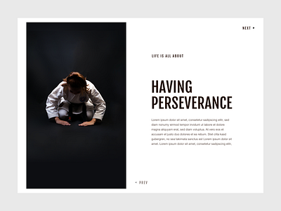 Blog Detail Page "Perseverance" - Design Exploration #01